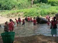 Kerchor elephant eco park