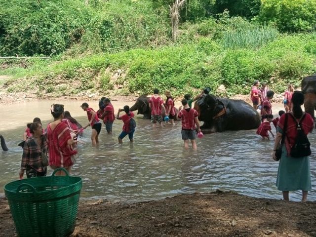 Kerchor elephant eco park