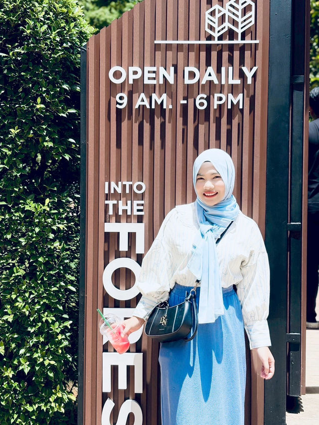Into the Forest Cafe — กระบี่ 🍵