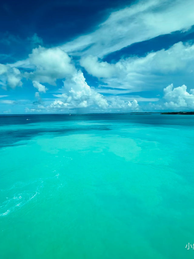 鼓浪嶼號上的極致蔚藍海景 🌊