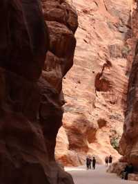 Petra and Wadi Rum Moments 