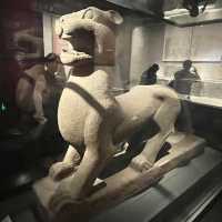 🏛 Henan Museum — Treasures of China’s Heartland
