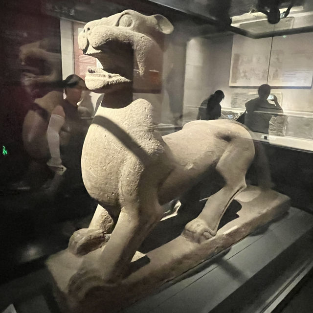 🏛 Henan Museum — Treasures of China’s Heartland