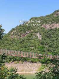 자연과 음악과 영화가 있는 아름다운 제천 여행 코스🌿