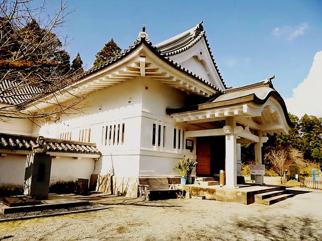 Samurai Sunsets: My Return to Obi Castle, Miyazaki