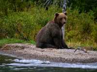 🌲 Lake Clark National Park – Wilderness, Wildlife & Scenic Beauty