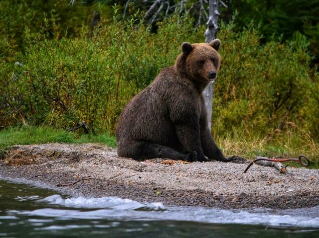 🌲 Lake Clark National Park – Wilderness, Wildlife & Scenic Beauty
