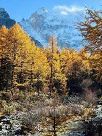 Autumn in A’ding, Daocheng – Chengdu 🍁