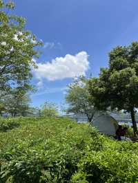 將軍澳海濱長廊親子樂