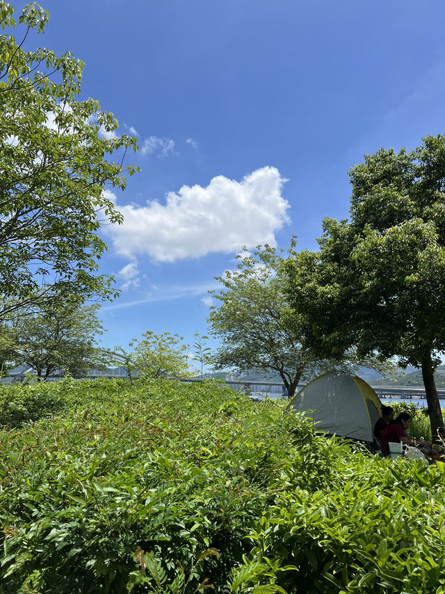 將軍澳海濱長廊親子樂