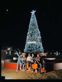 MIDWINTER 🎅🧑‍🎄
