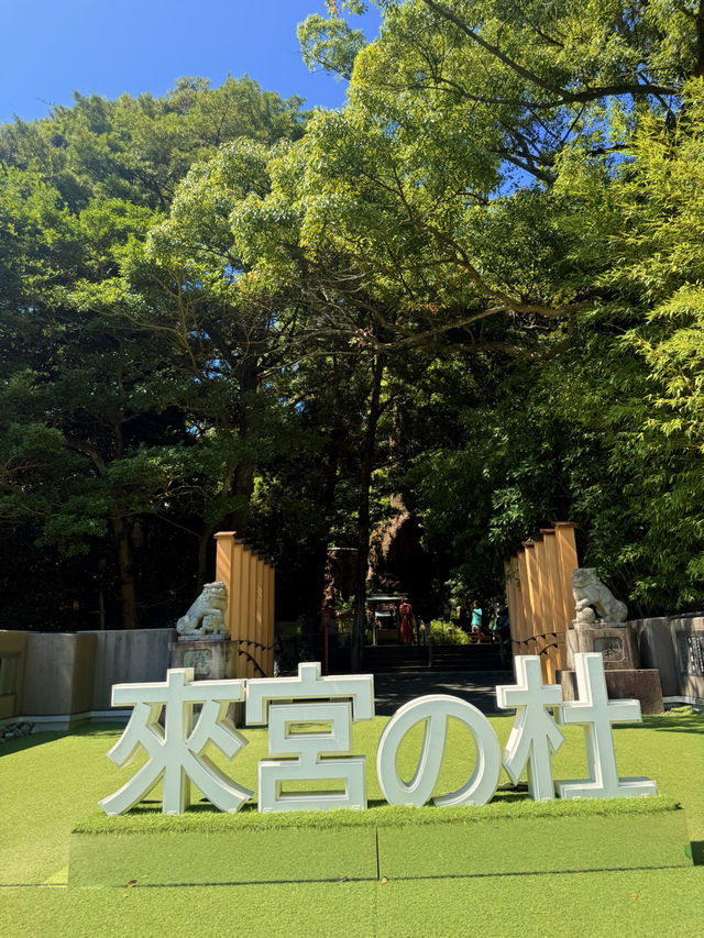 熱海｜隱身在樹林中來宮神社 繞神木一圈能延命一年傳說