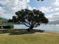 New Zealand Road Trip, Akaroa