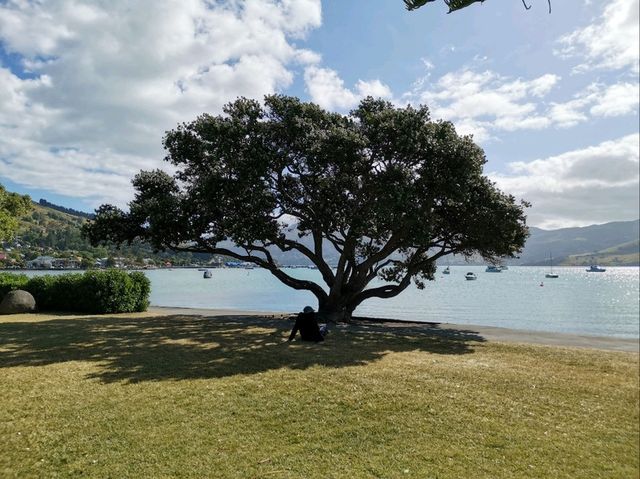 New Zealand Road Trip, Akaroa