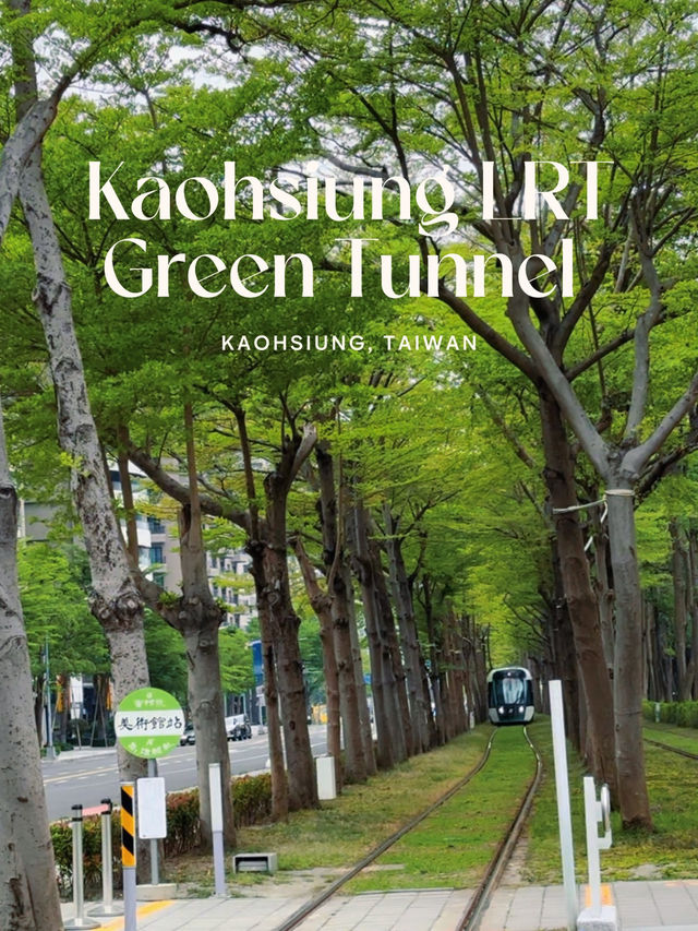 นั่งรถไฟผ่านอุโมงค์ต้นไม้ที่เกาสง นั่งรถไฟผ่านอุโมงค์ต้นไม้ที่เกาสง