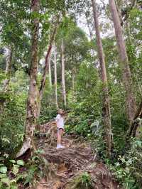 Hiking Cameron Highlands: Trails, Waterfalls & Panoramic Views