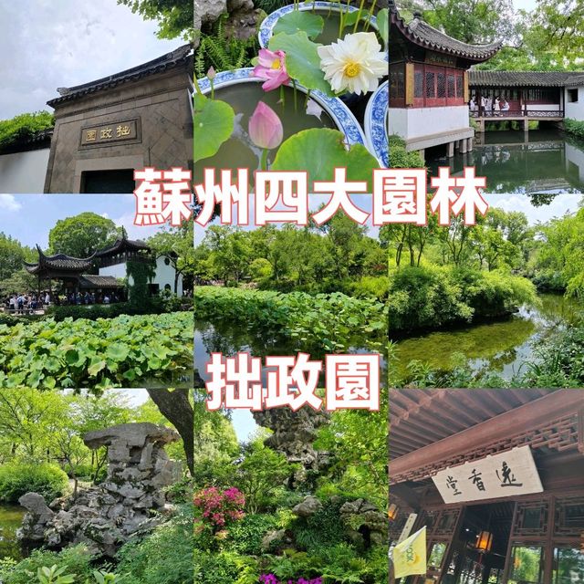 江南園林精粹✨拙政園漫遊記|蘇州古典美學大揭秘 江南園林精粹✨拙政園漫遊記|蘇州古典美學大揭秘