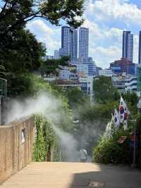 大邱｜青蘿坡90階樓梯是三一運動聖地 現代胡同看近代史