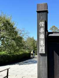 絶景神社と名園巡り♪茨城ドライブ旅