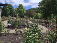 Dunedin Botanic Garden