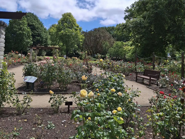 Dunedin Botanic Garden Dunedin Botanic Garden