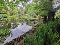 Ayrlies Garden and Wetlands