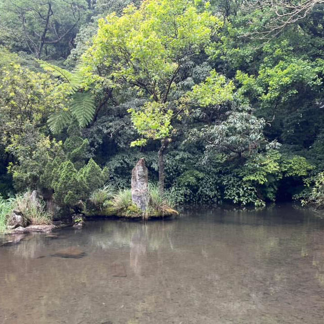 🌸⛰️ Yangming Park – The Heart of Yangmingshan 🌳✨
