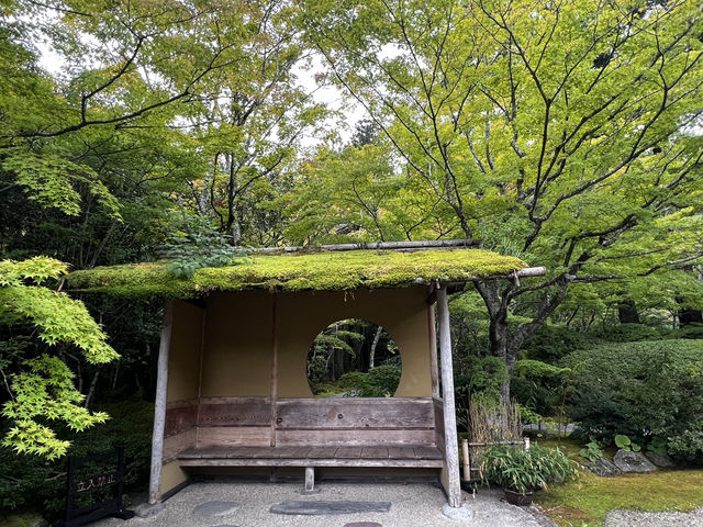 仙台・松島に行くべき5つの理由
