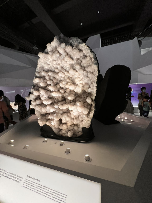 幫我描述一下台中國立自然博物館適合小朋友一家大細參觀嘅地方
