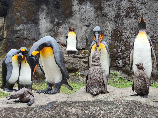 寓教於樂的親子天堂#臺北市立動物園-臺北市文山區