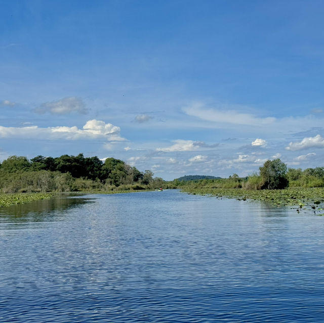 สวนพฤกษศาสตร์ระยอง 🏞️