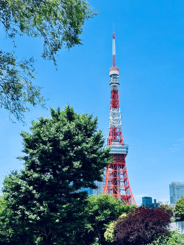 東京塔：登頂雲端，解鎖東京天際線的浪漫與震撼