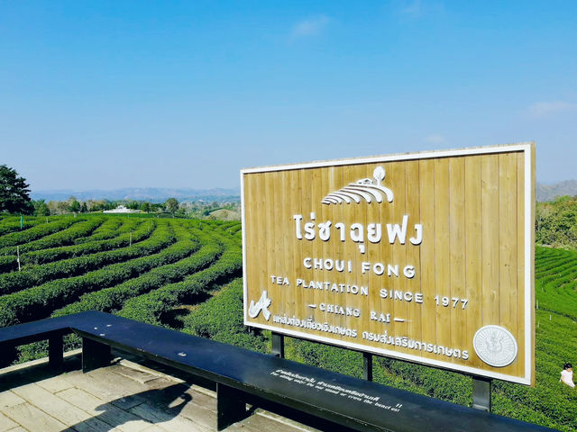 ไร่ชาฉุยฟง