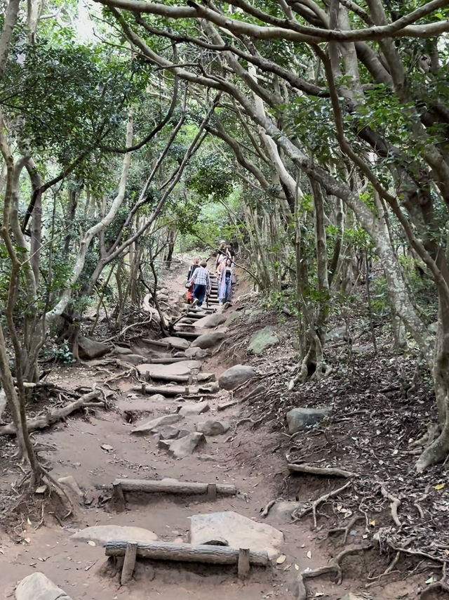 海風、白鳥居、龍貓的足跡：我在糸島尋找治癒系的藍