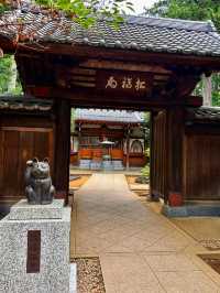 The Lucky Cat Temple – Discover Gōtokuji, Tokyo