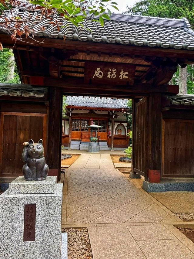 The Lucky Cat Temple – Discover Gōtokuji, Tokyo