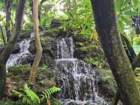 วอนนภา คาเฟ่ ชลบุรี: หลุดไปในป่าลับแลสุดร่มรื่น