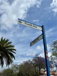 Campsie 第八巷道漫步，追尋春日藍花楹的紫色詩意