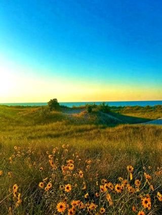 🏖️ Marquette Park Beach – Gary, Indiana’s Lakeside Gem 🏖️