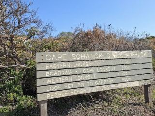 🌊👣 “Clifftops, Kangaroos & Ocean Breezes” — Mornington Peninsula National Park