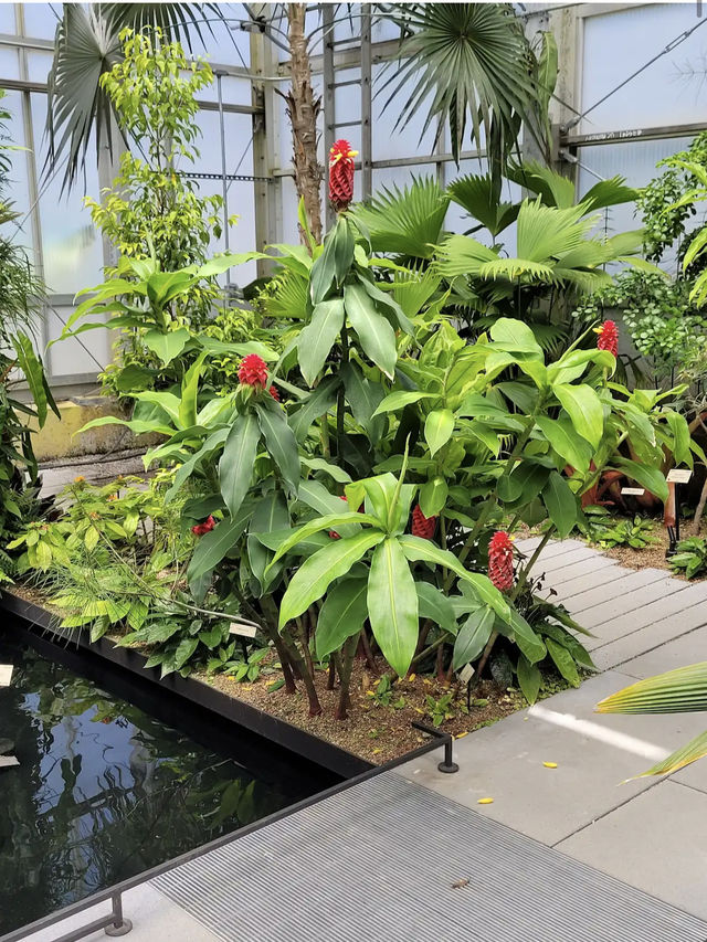 University of California Botanical Garden