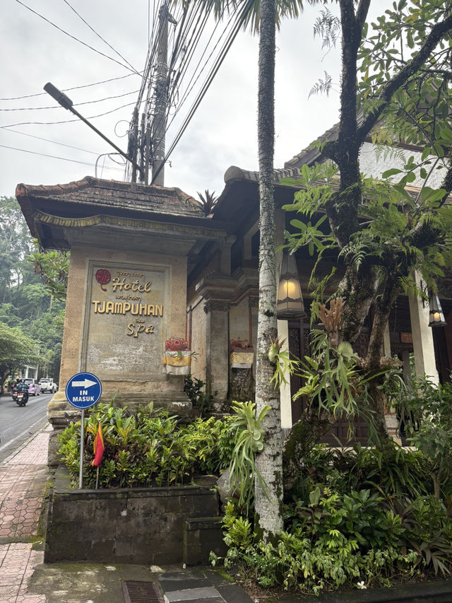 【バリ島おすすめホテル🇮🇩】ウブドエリア　チャンプアンホテル🌴✨
