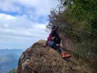 櫻花竹林秘境．石壁山壯麗之旅