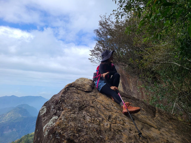 櫻花竹林秘境．石壁山壯麗之旅
