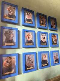 Shanghai Disneyland.