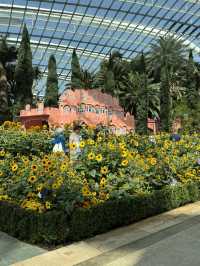 싱가포르 여행일정 공유 - DAY5 🇸🇬