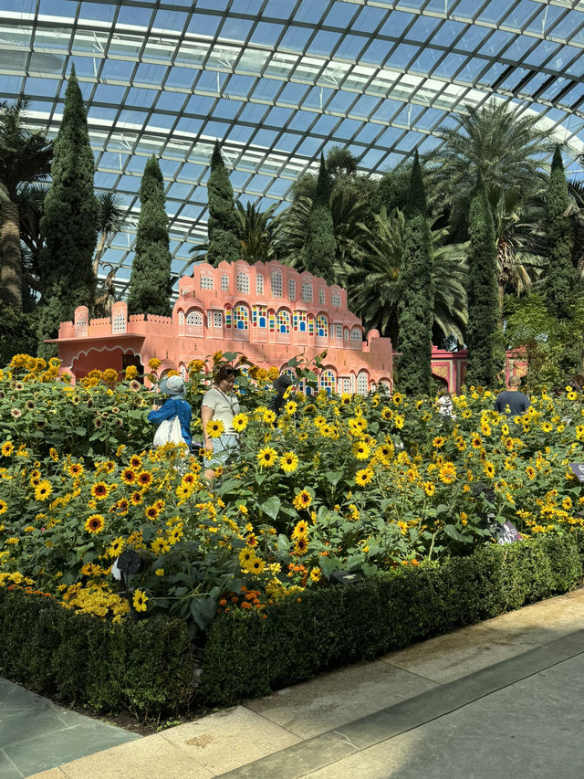 싱가포르 여행일정 공유 - DAY5 🇸🇬