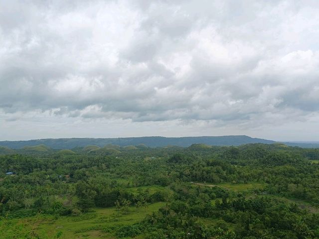 Chocolate Hill Dream🍃 Chocolate Hill Dream🍃