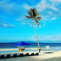 Doljo Beach - Starfish everywhere!