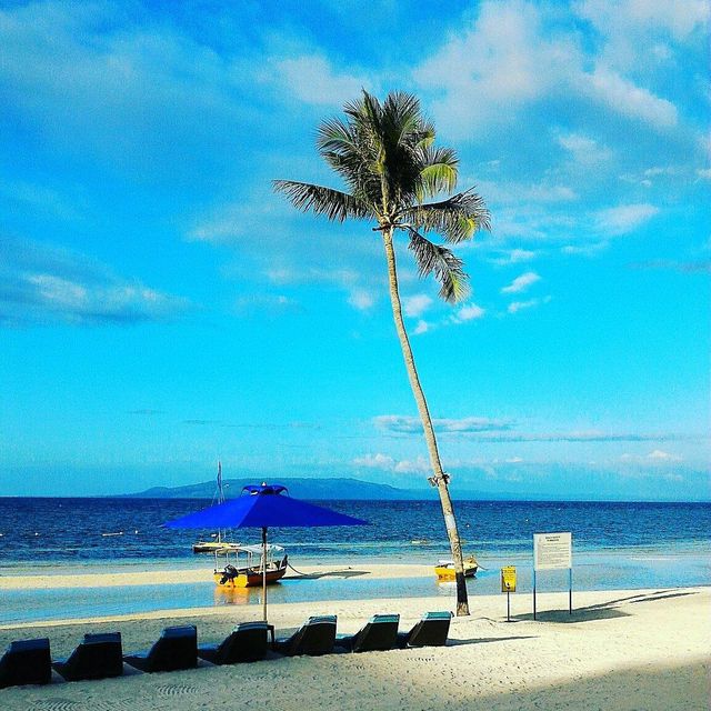 Doljo Beach - Starfish everywhere!